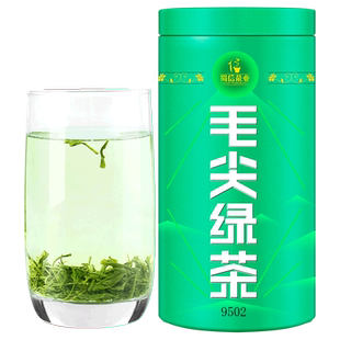 2025新茶毛尖春茶四川绿茶雨前茶叶自己喝耐泡250g罐装官方旗舰店