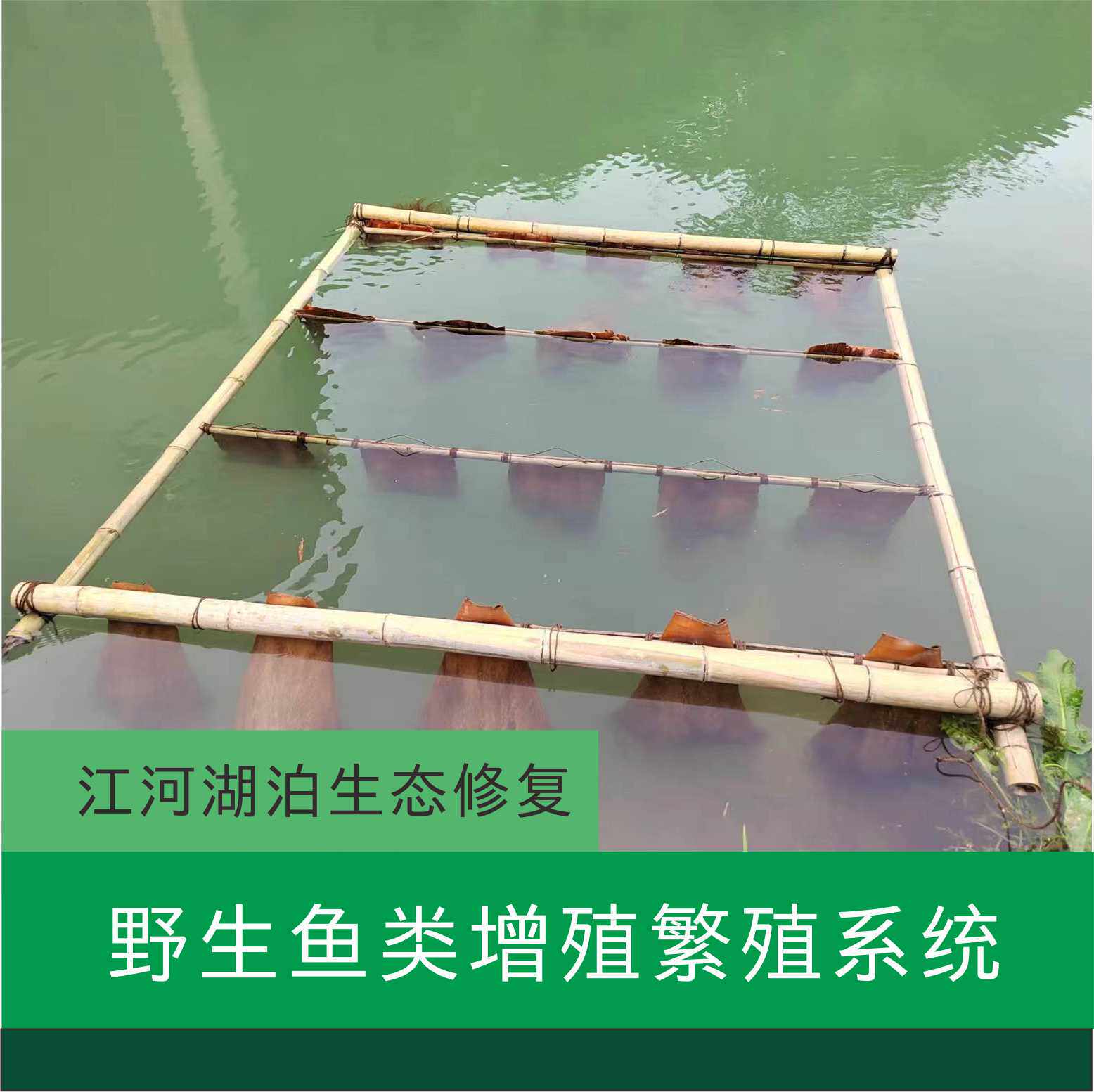 人工鱼巢鱼类增殖繁殖系统棕片网毛竹网箱鱼产卵孵化鱼苗仿生水草