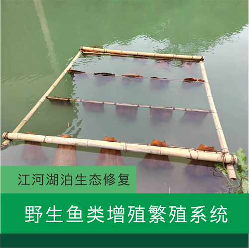 丰心农业鱼巢网箱产卵孵化