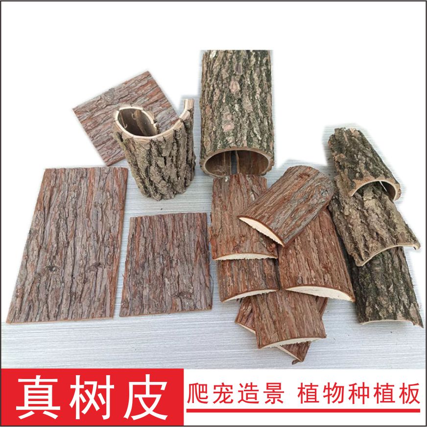 树皮种植装饰爬虫石斛雨林缸苔藓
