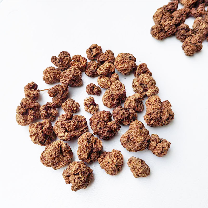 猫咪零食磨牙木天蓼果实虫瘿果