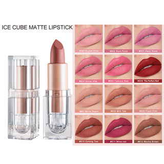 12色哑光口红不易裸色豆沙色小冰块脱色matte nude lipstick