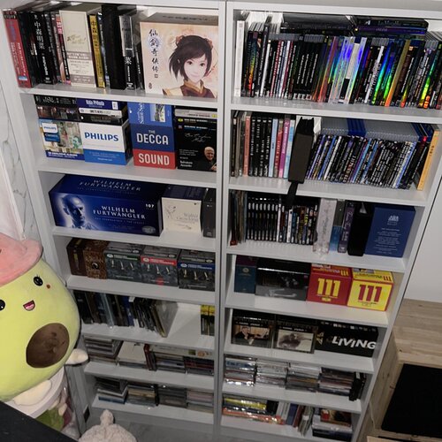 cd柜全实木书柜简易书架多层置物架dvd碟片架漫画书柜蓝光碟架