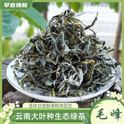 云南大叶种绿茶2026年新茶毛峰浓香型茶叶散装批发优质滇绿自己喝