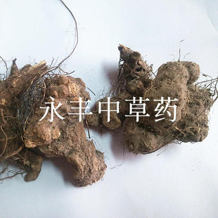 中药材香茶菜根 溪黄草根 铁菱角 铁棱角 铁钉角