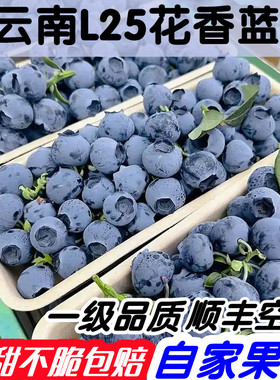 云南L25花香蓝莓顺丰空运包邮蓝莓新鲜水果当季现摘现发孕妇水果