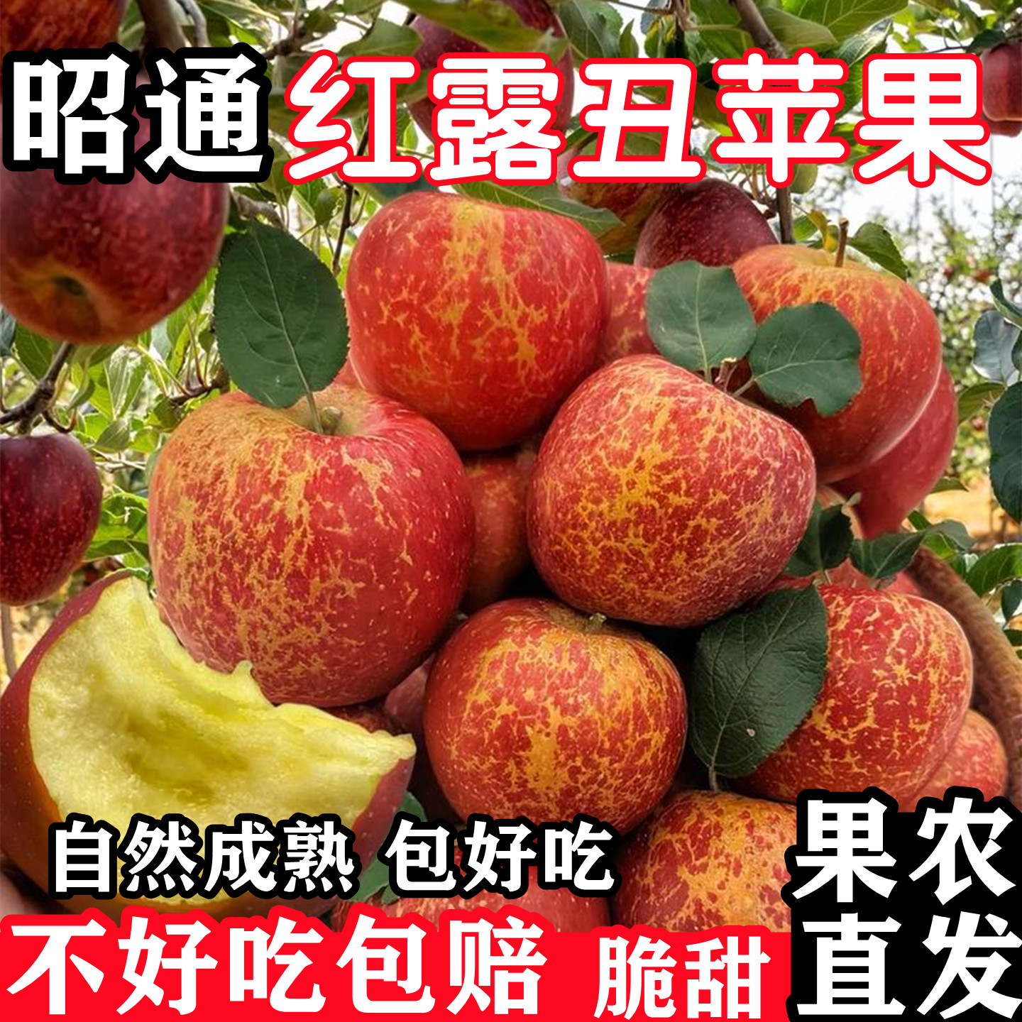 云南昭通丑苹果红露苹果脆甜冰糖苹果