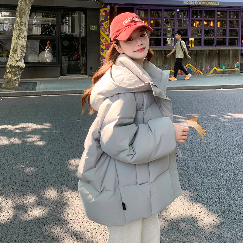 现货2025冬季新品短款棉服外套137-8025-P165-控258，女装棉衣/棉服，浙宝137