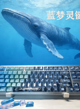 海洋主题蓝梦灵双拼键帽PBT材质pc材质蓝色渐变机械键盘简约配件