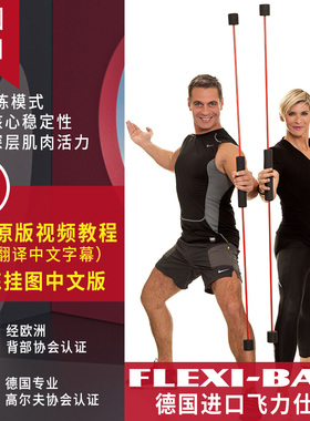 进口德国flexi-bar振动杆弹力棒 飞力士多功能燃脂健身飞力仕棒