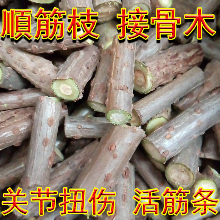 鲜接骨木活筋枝順筋枝叶活筋条伸筋干枝手脚关节扭伤崴手腕脚