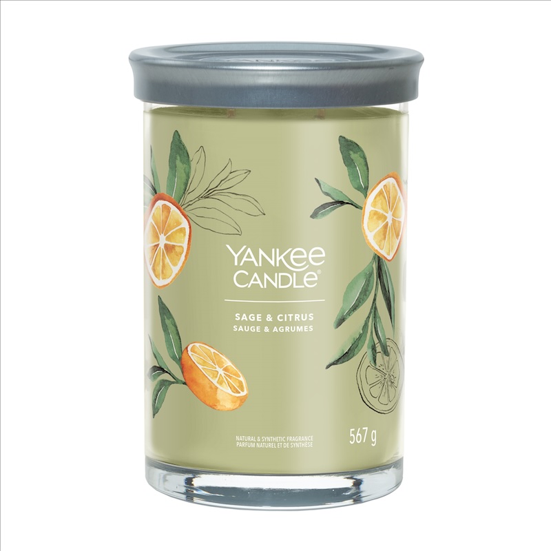 yankee杨扬假日citrus香薰蜡烛