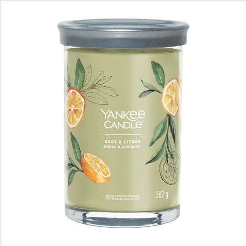 yankee杨扬假日citrus香薰蜡烛