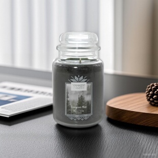 stars night yankee扬杨基长青迷雾evergreen mist冬夜繁星winter