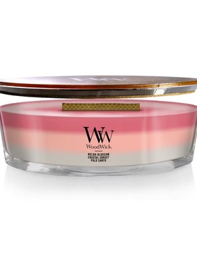 海岸线新年礼盒套装woodwick壁炉trilogy三部曲美国正品大豆蜡