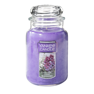 blossom美国玻璃 丁香花开yankee扬洋杨基天然卧室香薰蜡烛lilac