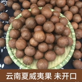 云南德宏夏威夷果生果500克干果澳洲坚果原味奶香散装 孕妇零食