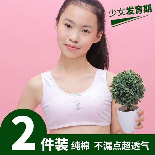 少女文胸初中高中学生纯棉发育期