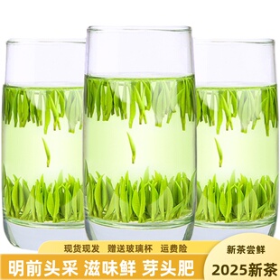 茶叶绿茶雀舌石花嫩芽毛尖2025明前新茶宜昌绿茶单芽散装200g起售