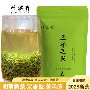 茶叶绿茶毛尖A五峰毛尖2025明前新茶一级炒青500g宜昌特产叶溢香