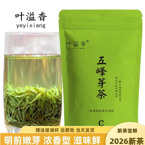 茶叶绿茶五峰芽茶明前毛尖500g
