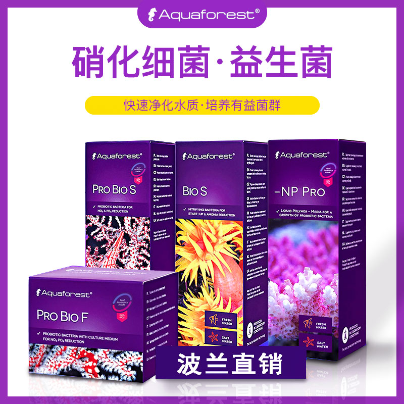 紫色森林细菌波兰珊瑚af益生菌