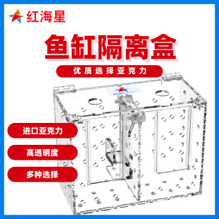 红海星隔离盒亚克力多功能隔离箱单格三格五格淡海水捕鱼器鱼缸