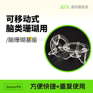 脑类珊瑚基座底座富士脑珊瑚基座培育繁殖珊瑚底座小中大号亚克力