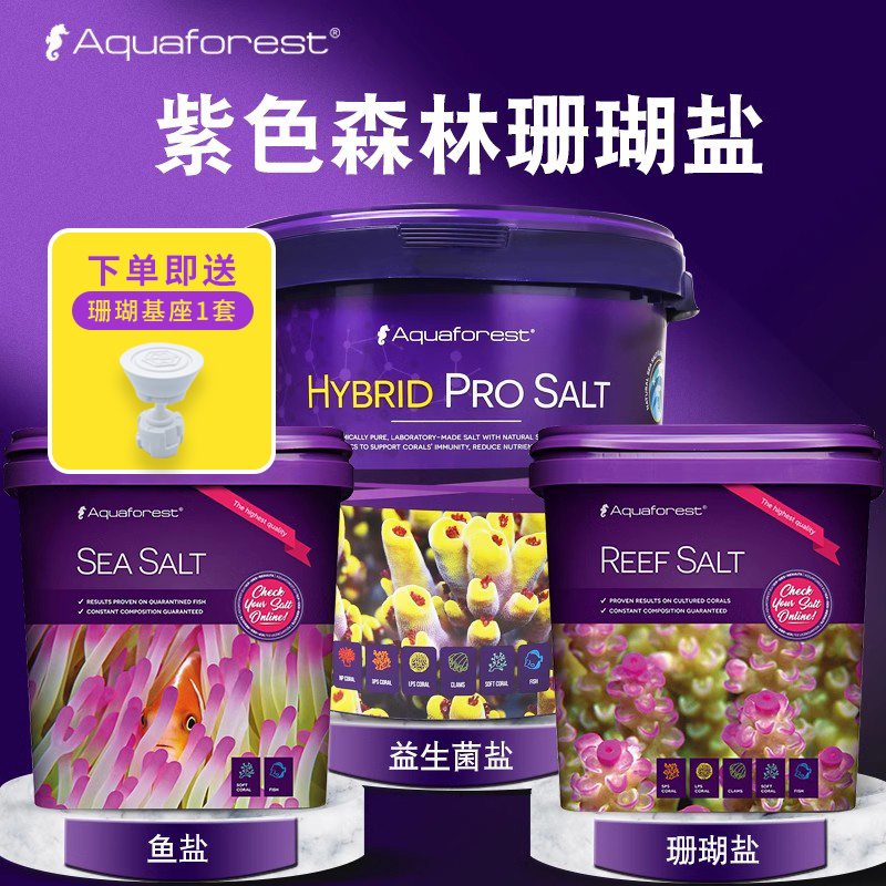 紫色森林aquaforest海水珊瑚观盐