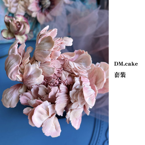 DM.cake 花嘴套装