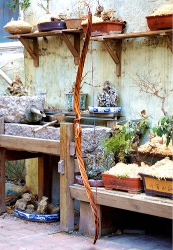 荒野村夫 美猎星陨 41磅 9成信 高配 版本