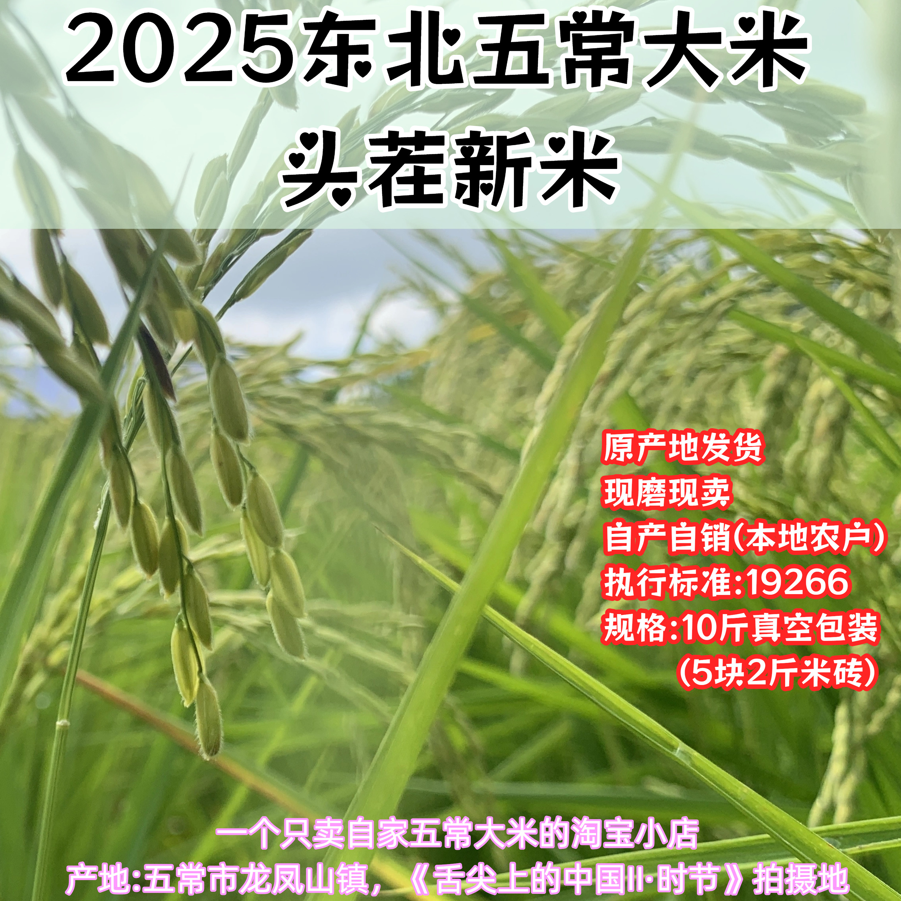 五常大米特产19266稻花香新米