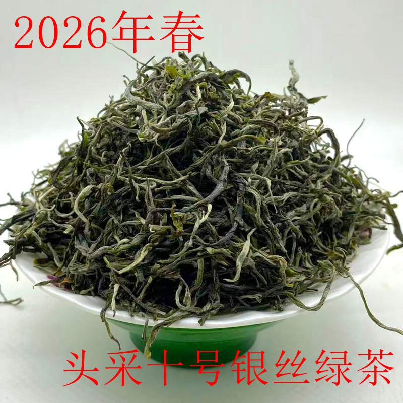 2026年云南普洱明前头采春茶滇绿茶十号银丝新品125克装包邮尝鲜