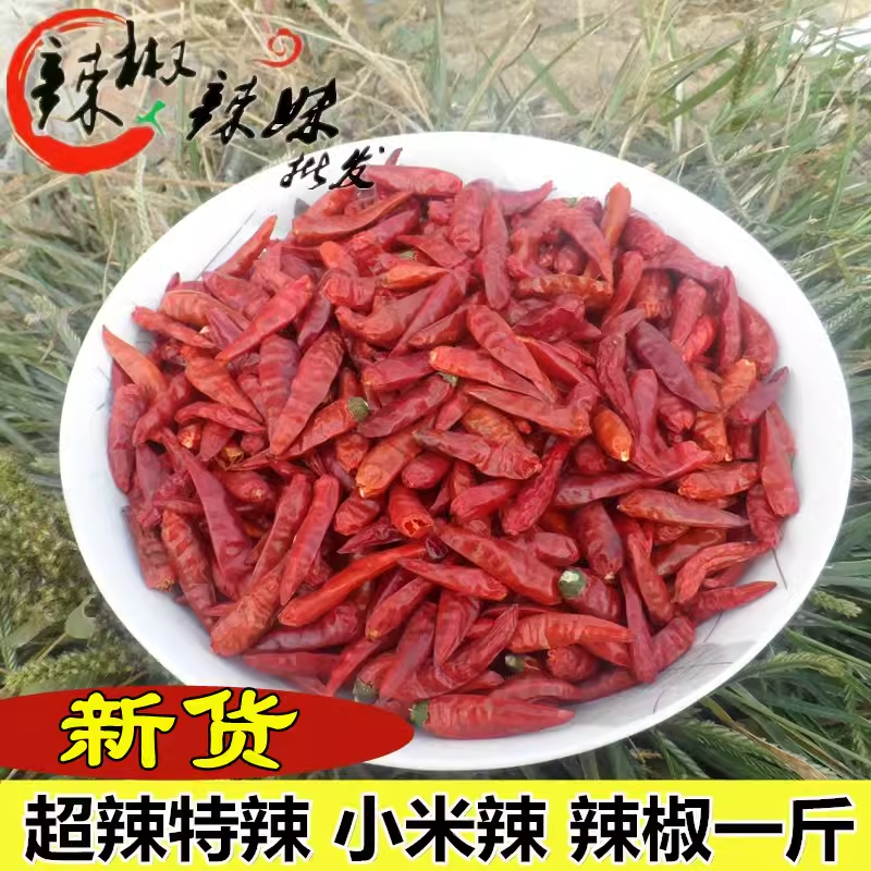 超辣特辣巨辣特香香辣朝天椒魔鬼椒干红辣椒野山椒 小米辣500g