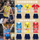 2025新款 队服俱乐部训练比赛服定制 男女排球服意大利科内利亚同款
