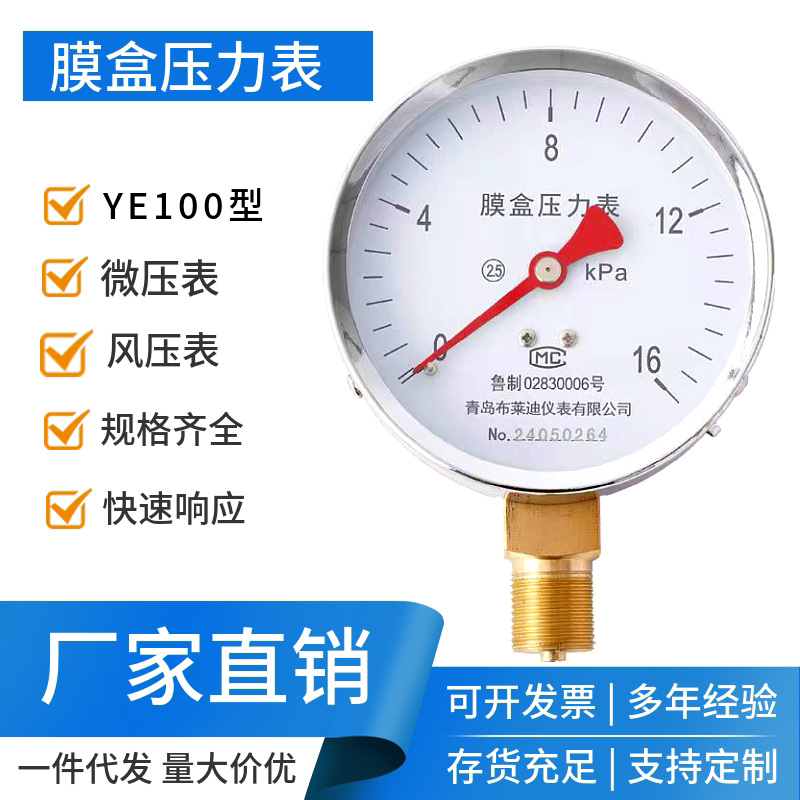 布莱迪膜盒压力表YE100天然气60