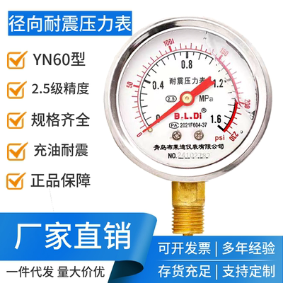 布莱迪青岛YN60压力表耐震油压