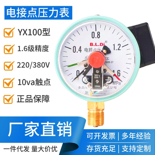 布莱迪压力罐电接点表10VAYX100