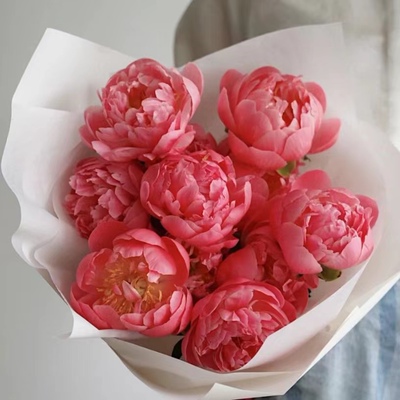 进口落日珊瑚芍药鲜花回购率100%