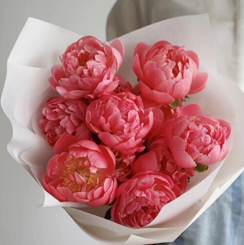 进口落日珊瑚芍药鲜花回购率100%