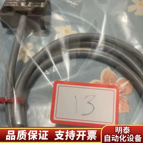 SCHMERSRL施迈塞传感器，型号：BNS  250-11询价