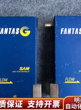 SAM FANTAS流量计2481G1 JX2MC-UGD1.询价