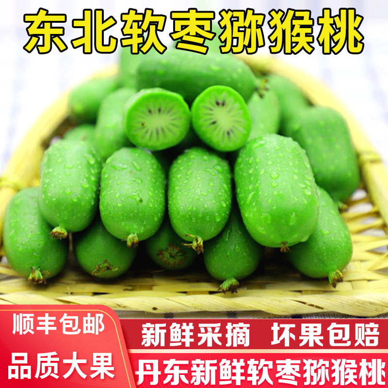 丹东软枣猕猴桃东北圆枣子奇异莓新鲜奇异果莓狗枣子顺丰包邮