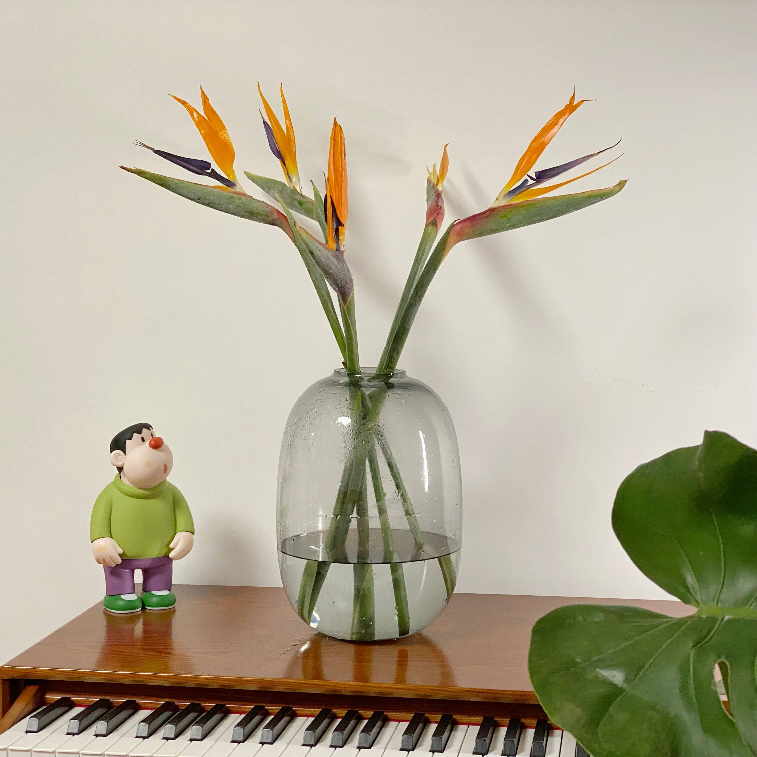 天堂鸟鹤望兰鲜花花束真花花期长基地直发家庭插花水养室内观赏