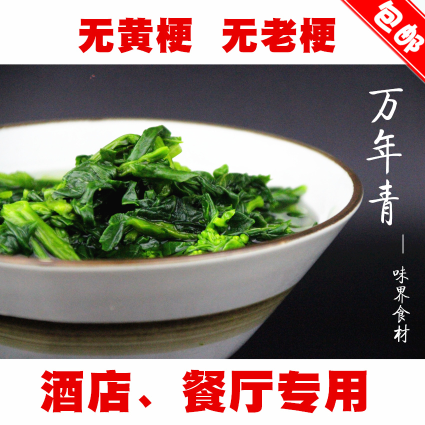 农家 万年青 菜干 干菜 500g 包邮 橄榄菜 脱水蔬菜干 干货青菜干 水产肉类/新鲜蔬果/熟食 脱水蔬菜 原图主图