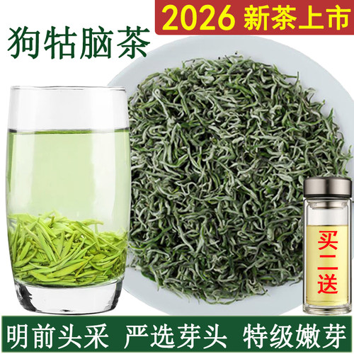 2026新茶上市狗牯脑茶头采芽尖