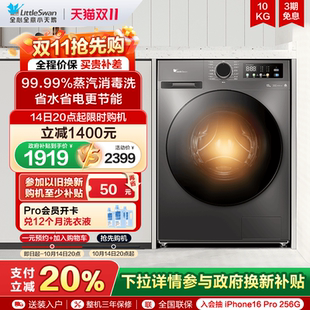 Littleswan/小天鹅 TD120V098WDT