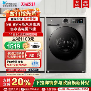 Littleswan/小天鹅 TG120V098WDT