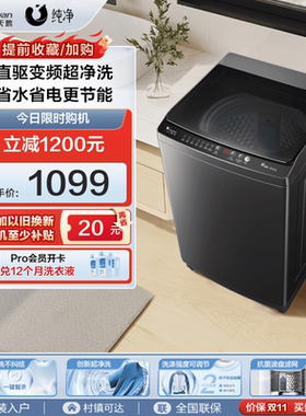 Littleswan/小天鹅 TB100V26DT