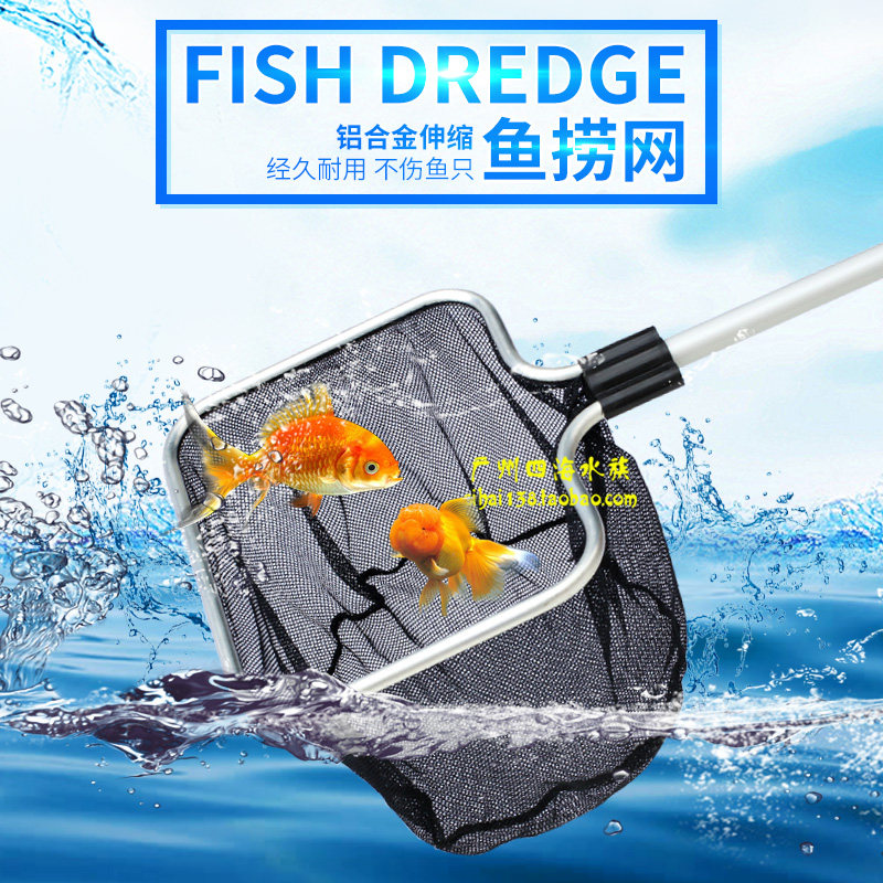 鱼捞水族捞鱼网抄网鱼捞网兜伸缩手抄锦鲤加长渔捞鱼池树叶打捞网_虎窝淘